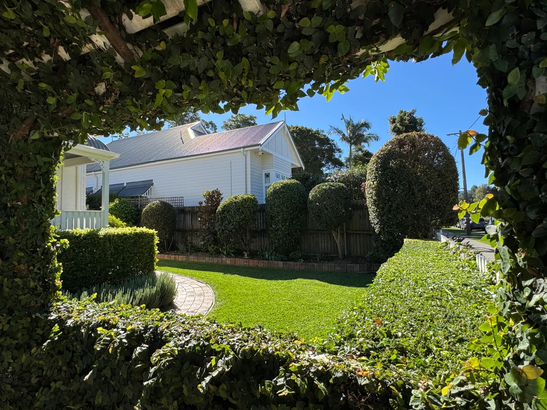 Albert St. Cottage framed by its garden