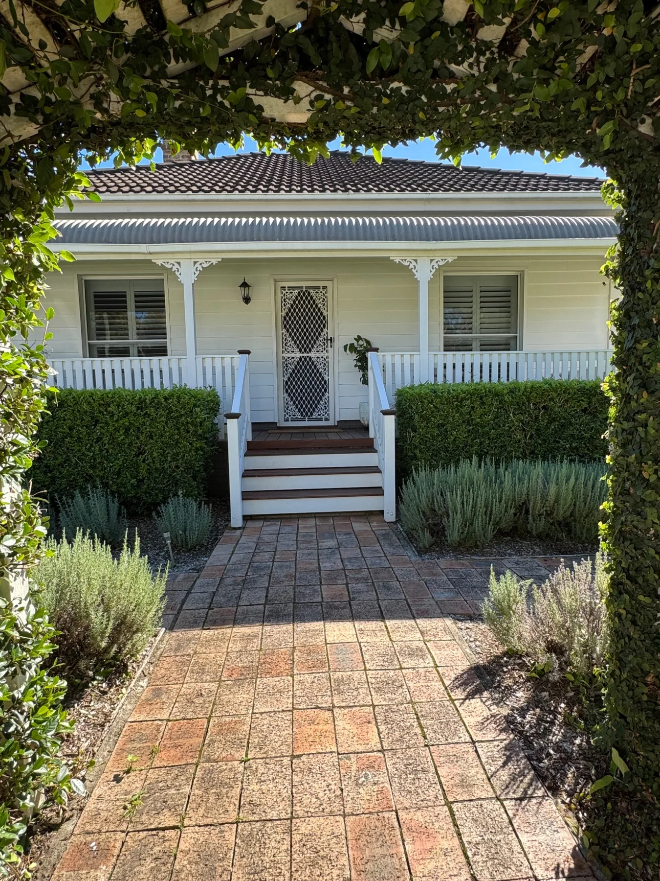 Detailed garden planting at Albert St. Cottage