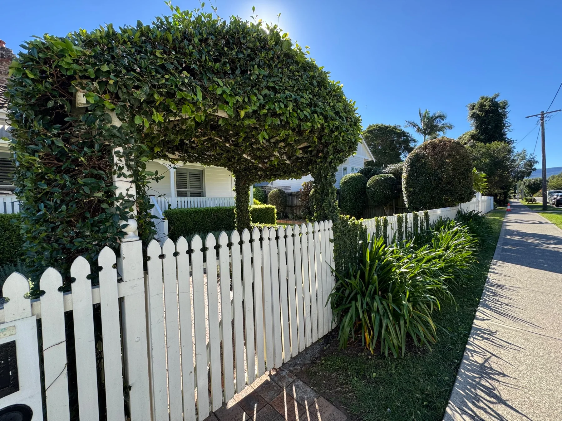 Careful hedge work at Albert St. Cottage