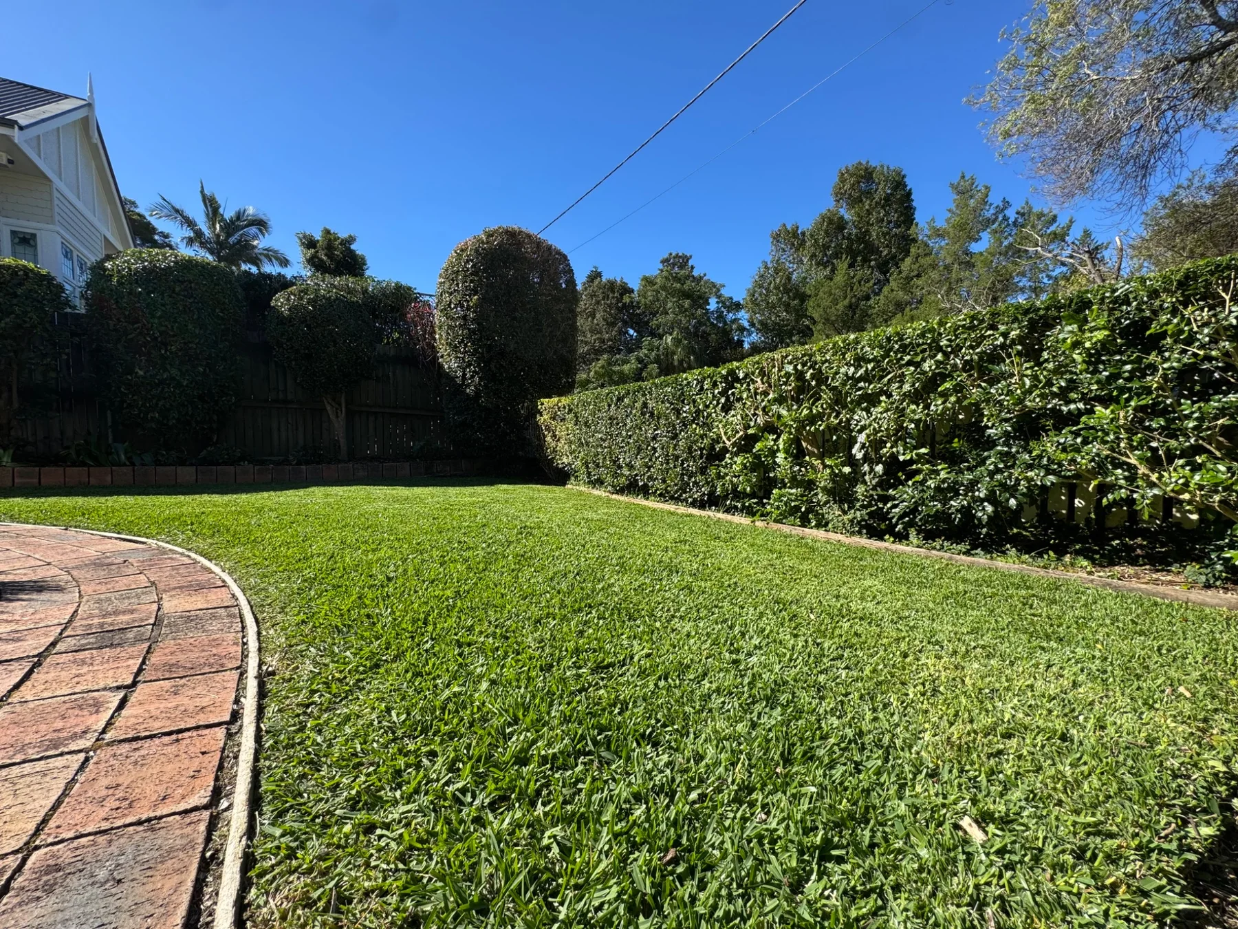 Formal lawn and hedging at Albert St. Cottage