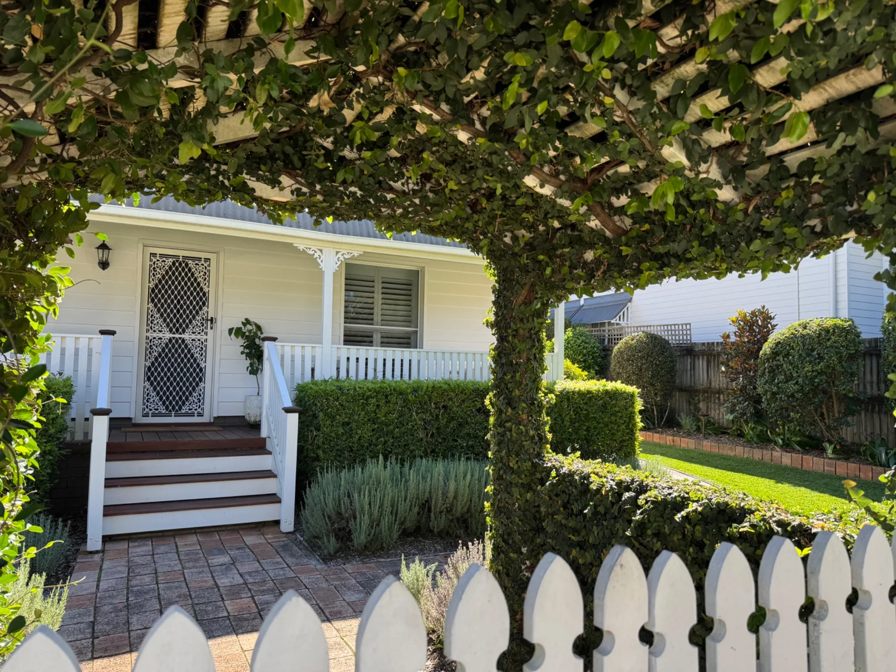 Mature clipped topiary at Albert St. Cottage