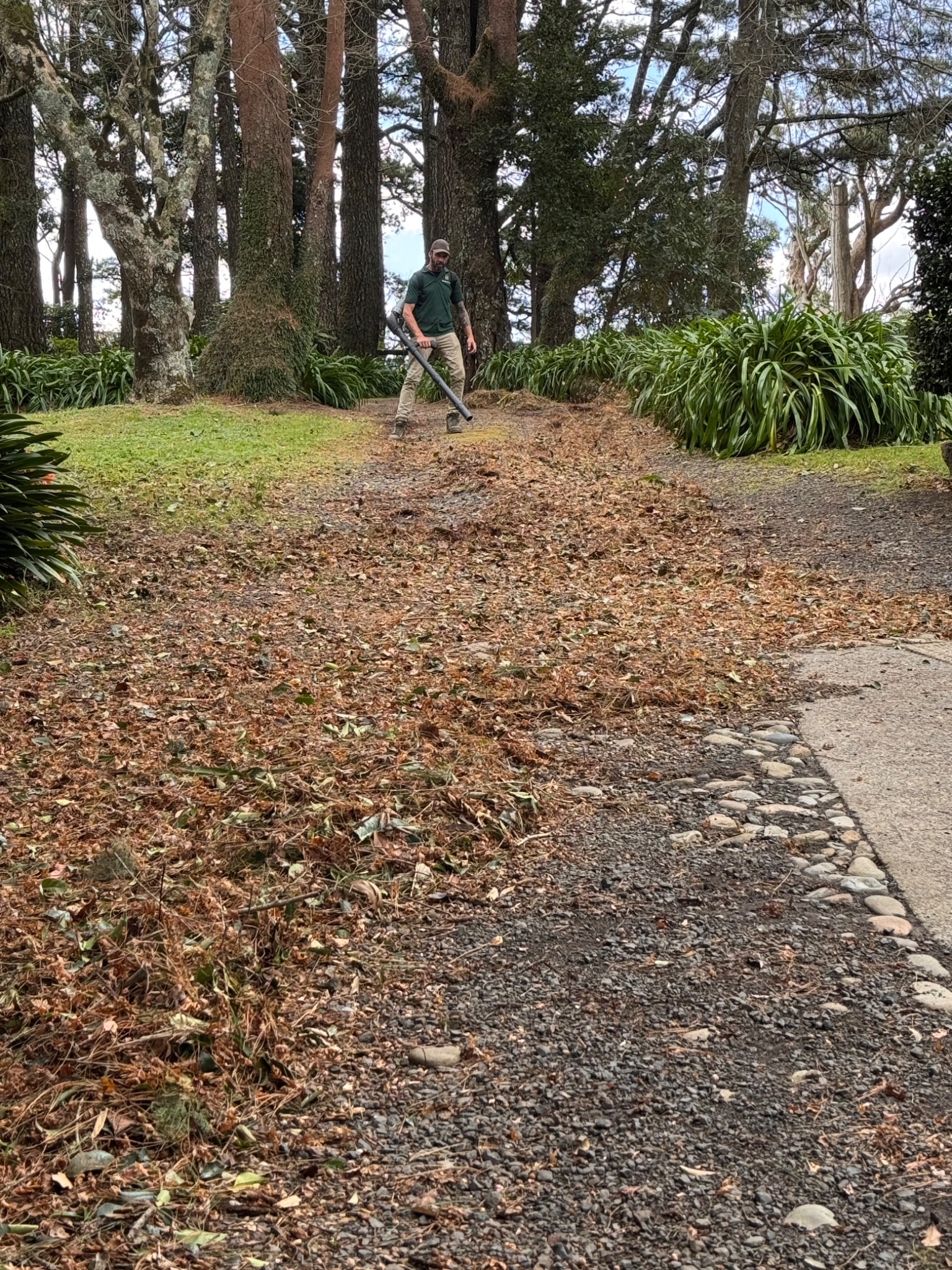Badagarang restoring a garden after storm debris