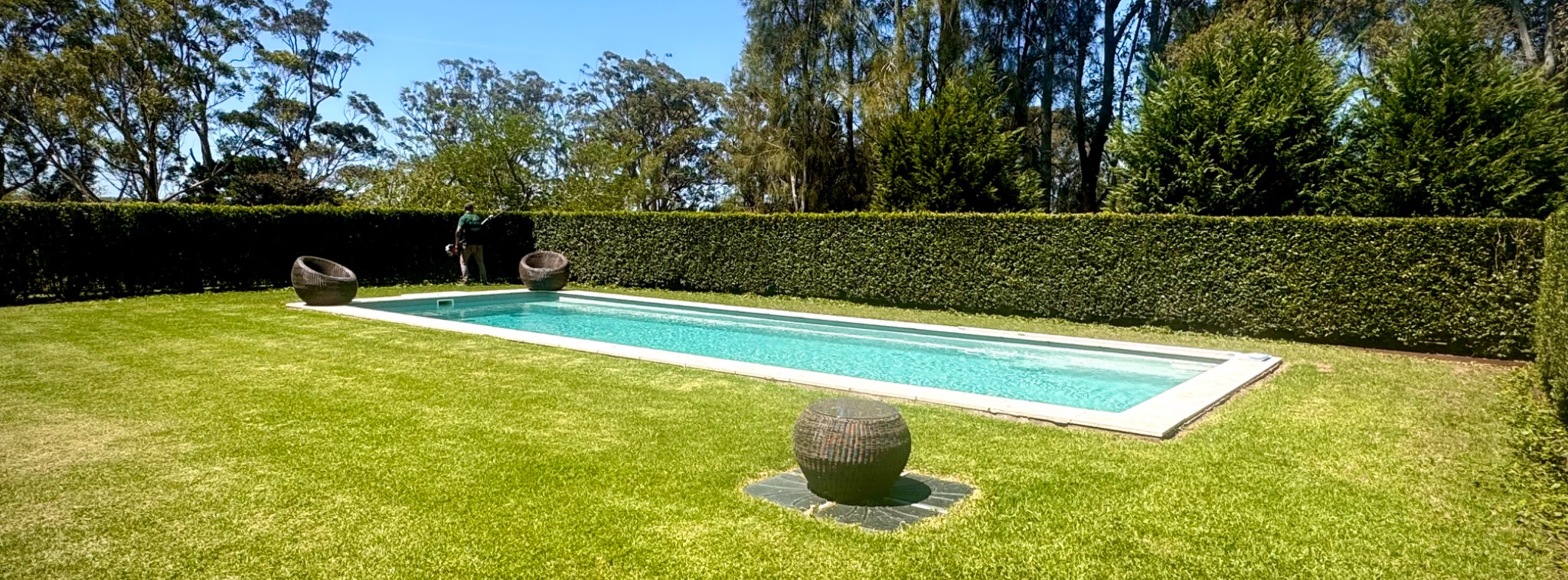 Formal lawn, pool and clipped boundary hedging cared for by Badagarang