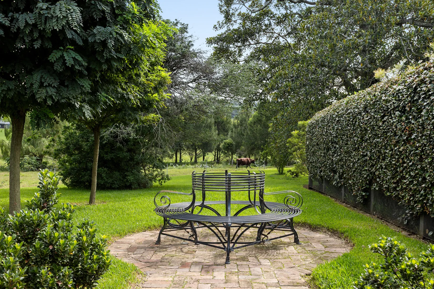 Circular garden seat beneath mature trees at Terragong