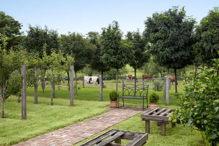 The orchard edge at Terragong