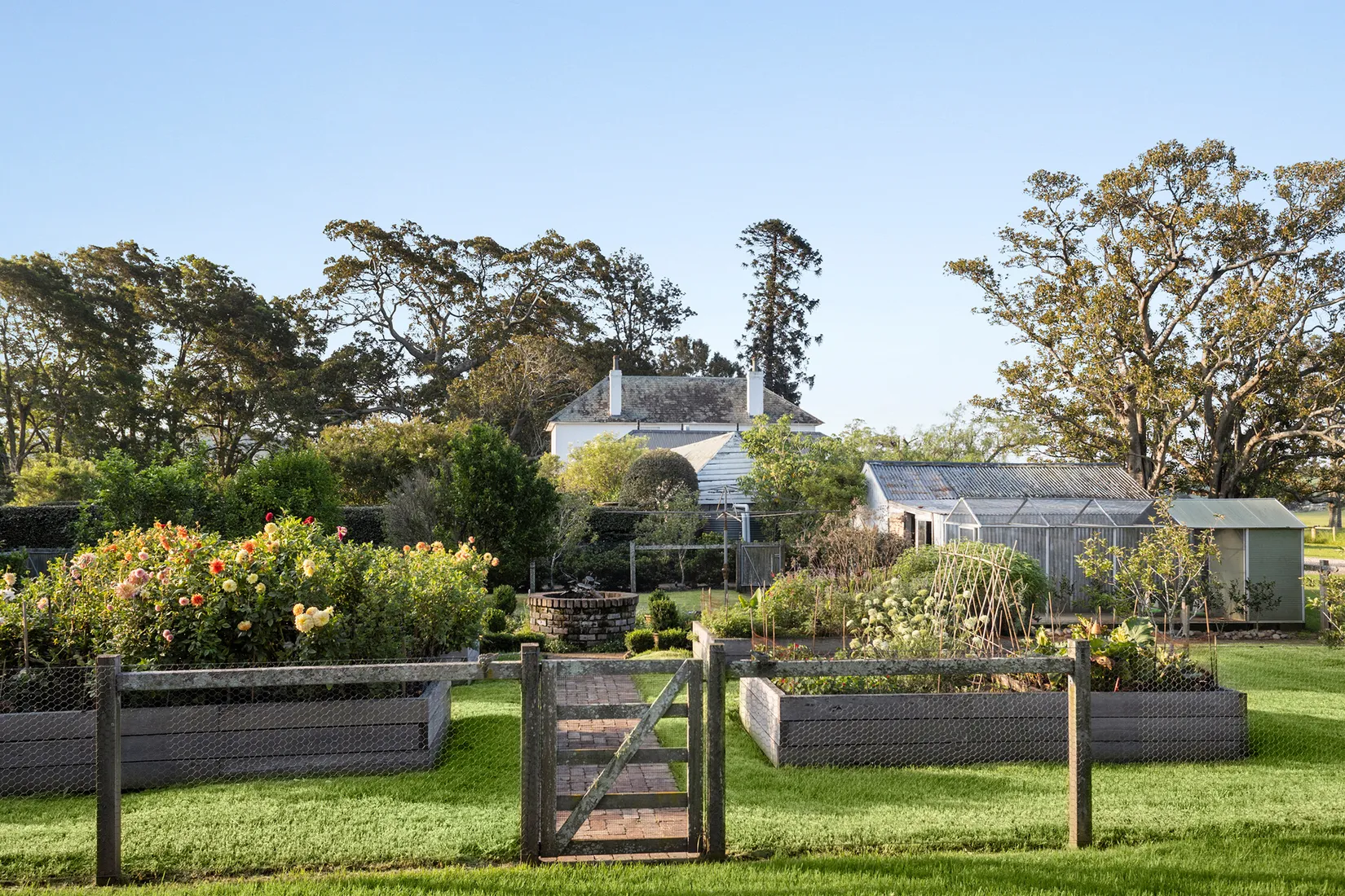 The productive garden at Terragong